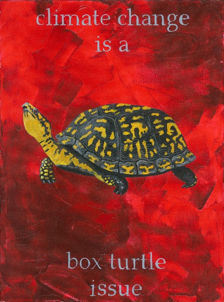 We are all in this together.: Box turtle